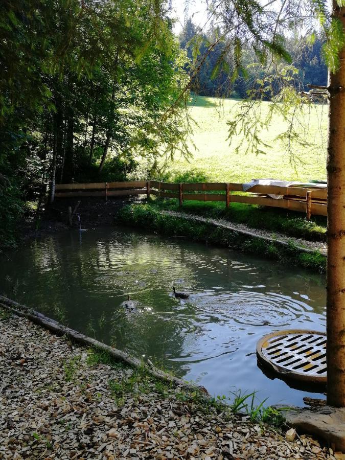 Ferienhaus Am Waldrand Von Egg Bregenzer Wald Exterior foto